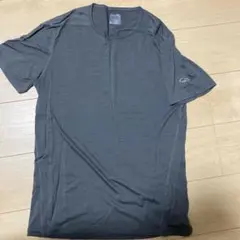 アイスブレーカーメリノ Tシャツ メンズM