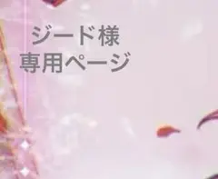 専用