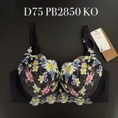 Item thumbnail for item 0af32914-d6d1-4218-915d-624eff1c1fff