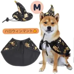 Item thumbnail for item 8994448c-88df-4761-8505-831e0a352289