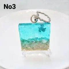 小さな海 海亀 サンゴ砂 ヒトデ No3