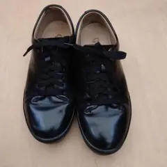 Item thumbnail for item 1619fb0f-0ea5-4eb6-b235-761cedb99a65