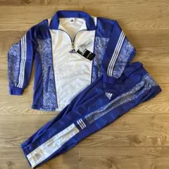 Item thumbnail for item 7285005d-4cb3-4809-b754-be76d83e5009