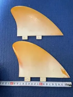 FCSツインフィン!