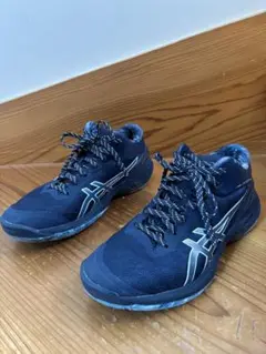 Item thumbnail for item ce72d8a1-b342-4d2c-a614-aeec88c32c82