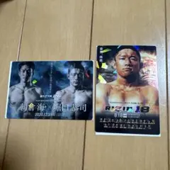 RIZIN ポテトスティック RIZIN.18＆26【No.05,10】