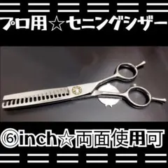 Item thumbnail for item 2fd112f8-6e89-443f-bcbb-23e78997b9ff