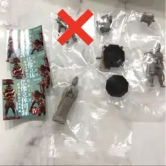 仏像立体図録Ⅳ 朽木調カラー2種