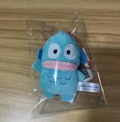 【ハンギョドン】 サンリオ キャラクター大賞 マスコット2025