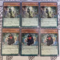 遊戯王　DD魔導賢者トーマス　レア3枚/DD魔導賢者ニコラ　3枚