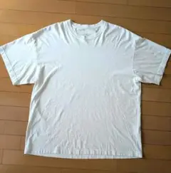 Seagreen オーガニックコットン Tシャツ Lサイズ相当