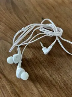 Item thumbnail for item 9ed5f2ed-3151-4264-8a08-8b6c53c1f631