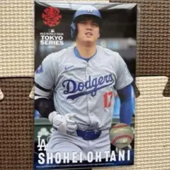 MLB東京シリーズ　ドジャース　大谷翔平　ポストカード5枚セット