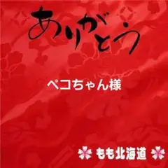 北海道限定‼️わかさや本舗‼️いも風味 10個入り 同梱可能です‼️
