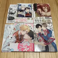 スキルをなくした騎士様と俺 ニセモノの恋を射抜く アニメイト 特典