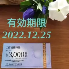 マホロバマインズ三浦 宿泊優待券 割引券