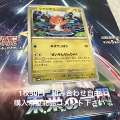 シャリタツ　在庫2