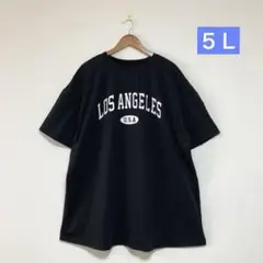 ５Ｌ 大きいサイズ ゆったり 丈長チュニック