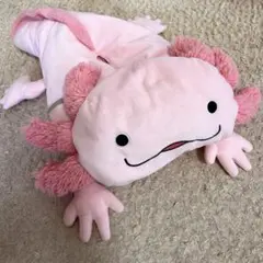 ウーパールーパー　ティッシュBOXいれ