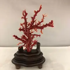 珊瑚彫刻　本珊瑚　宝石珊瑚　珊瑚置物　コ－ラル　牛引き御所車　珊瑚置物　山上卓山 珊瑚彫刻 本珊瑚 宝石珊瑚 珊瑚置物 コ－ラル 牛引き御所車 珊瑚