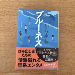 ブルーネス