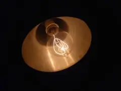 日本製 エジソン電球 浅田電球製作所 フィラメント 電球