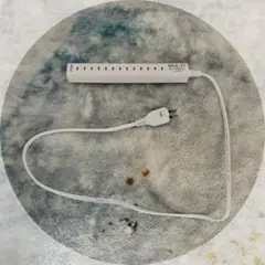 Item thumbnail for item 084f4ca7-0bdb-4bd4-b0c5-9fae93d5f294