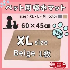Item thumbnail for item 174ed5ef-af77-4bb6-9548-5966025a472c