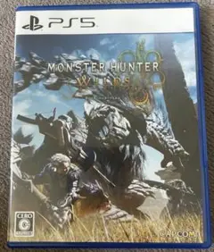 「美品」モンスターハンター：ライズ PS5 即購入OK