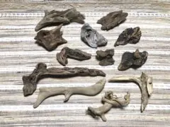 Item thumbnail for item c25f3c69-5003-4573-bbb4-0cfe01ce1448