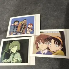灰原哀　ぱしゃこれ