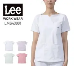 Item thumbnail for item 24fb1619-b278-4954-a289-cd24e9c5a68a