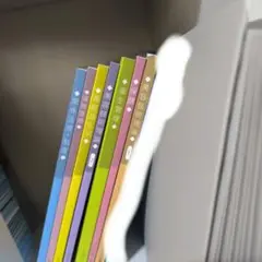 Item thumbnail for item dffb0334-f779-450c-a33e-d441c7a6e6ee