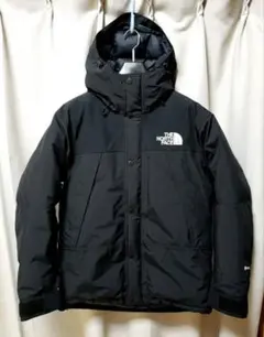 THE NORTH FACE マウンテンダウンジャケットメンズL ND91930