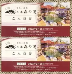 値下げ!【ご入浴券】箱根小涌園 元湯 森の湯/2名分