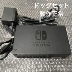 Nintendo Switch ドッグセット　裏蓋無し