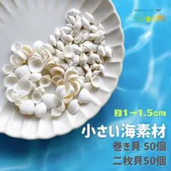 小さい貝殻　二枚貝　巻き貝　100個　白い貝殻　レジン封入　ハーバリウム　海