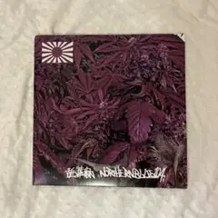 2025年最新】northernblueの人気アイテム - メルカリ