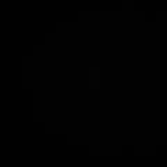 専用