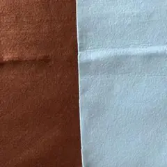 フェルト　二枚