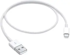 短いタイプc ケーブル対応iPhone 15/16/16E、50cm USB C