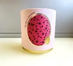 【ラスト1点！】ラデュレ テマリーアントワネット紅茶リーフティー単品♪ テ・マリー・アントワネット（ティーバッグ） ｜ラデュレ