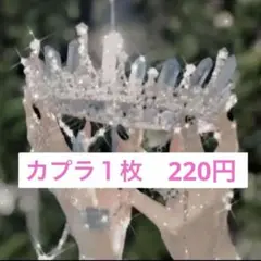 カプラ　１８０　②