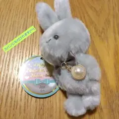 6月の誕生日　ウサギのぬいぐるみ