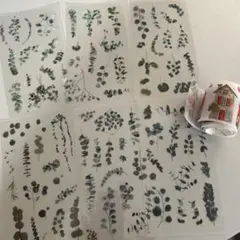 Item thumbnail for item 0a9dc132-4b07-4dd2-9df4-96494e2ff597