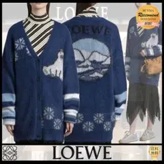 ロエベ 21aw モヘヤカーディガン