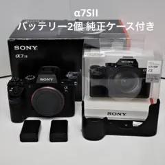 Sony α7S II ミラーレス一眼 本体 バッテリー2個、純正ケース付き