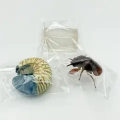 一番くじ 昆虫E賞 デスクトップフィギュア セミの抜け殻　幼虫　セット