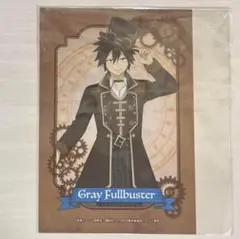 フェアリーテイル 『グレイ・フルバスター』 ポストカード