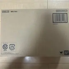 メタルビルド ケンプファー